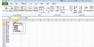 如何在EXcel2010中自定义下拉列表输入