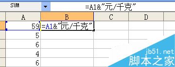 Excel如何在单元格内批量加前缀或后缀？