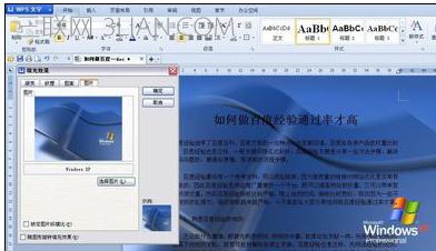 Word中2007版进行设置背景颜色的操作技巧