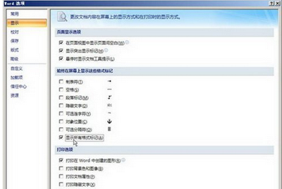 图4 选中“显示所有格式标记”复选框