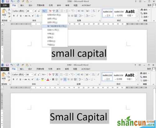 word设小型大写字母small capitals