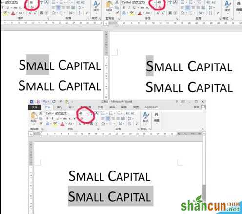 word设小型大写字母small capitals