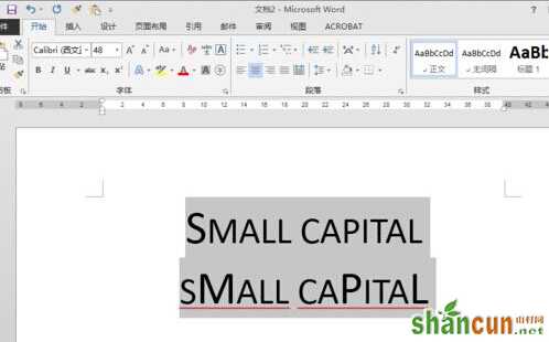 word设小型大写字母small capitals