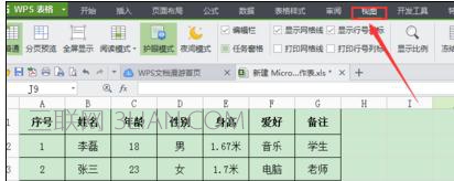 Excel中进行表格分页显示的操作技巧