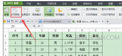 Excel中进行表格分页显示的操作技巧