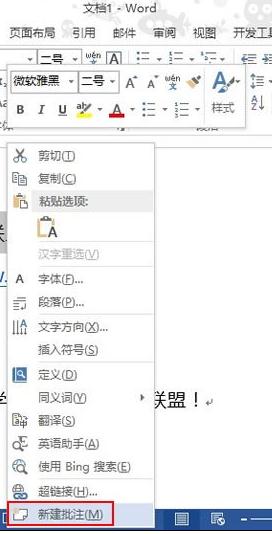 Word2013中显示批注的方法 山村