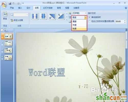 powerpoint2007设置图片的切换效果