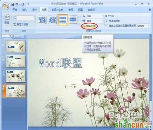 powerpoint2007设置图片的切换效果