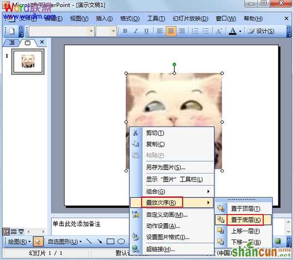 将PowerPoint2003图片置于底层不覆盖文字 山村