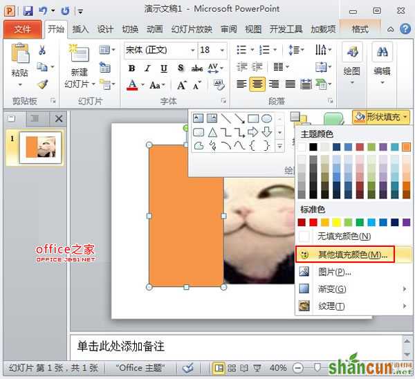 PowerPoint2010中图片的透明遮罩技巧