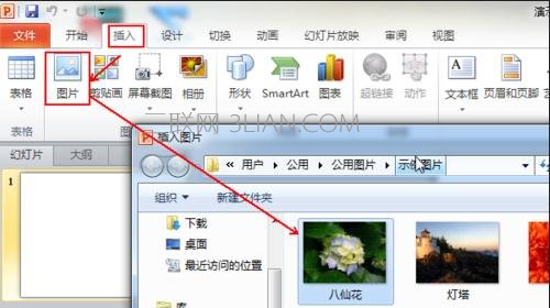 怎么使插入PPT的图片布满幻灯片 山村