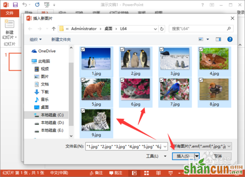 怎样在PowerPoint2013制作简易的电子相册的方法