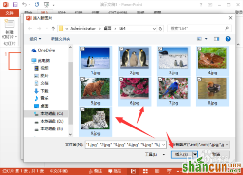 在PowerPoint2013中给相册添加音乐的详细讲解