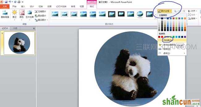 在ppt上怎样把图片裁剪成圆形图片