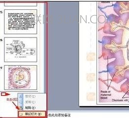 ppt怎样添加幻灯片 山村