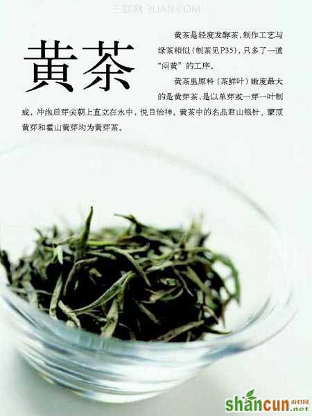 黄茶的品质特点 山村