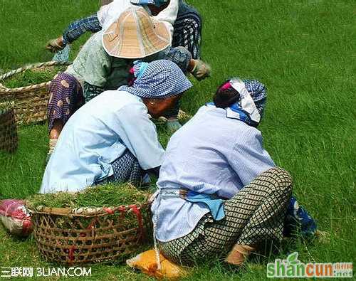 江南水乡的服饰 山村