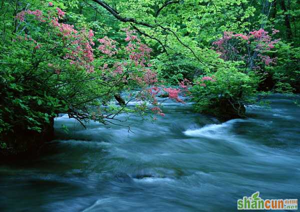 宁静-山村阅读