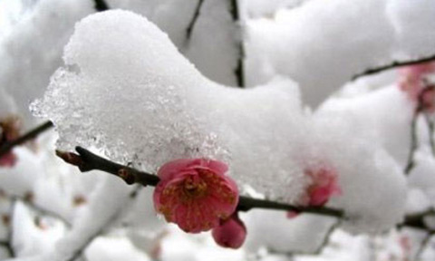 大雪的由来 有关雪的谚语 山村