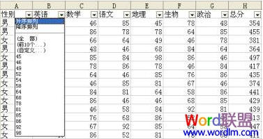 WPS表格自动筛选统计学生成绩 山村