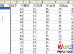 WPS表格自动筛选进行学生成绩统计