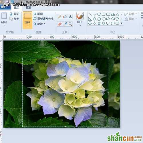 真方便 巧用Windows7画图调整图片大小