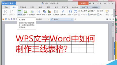 WPS文字Word中怎么制作三线表格   山村