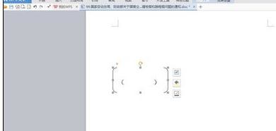 如何在wps文字中使用大括号小括号