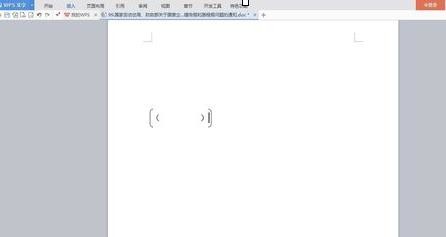 如何在wps文字中使用大括号小括号