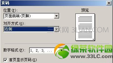 wps怎么设置页码?WPS从指定页开始设置页码方法2