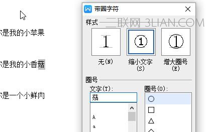 如何在wps文字中使用中文版式