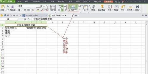 WPS表格制作销售图