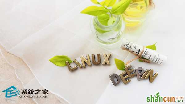 Linux系统中如何查看和修改DNS配置 山村