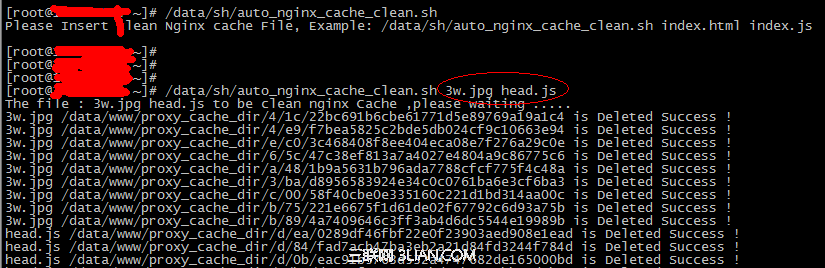 使用Shell脚本批量清除Nginx缓存 山村