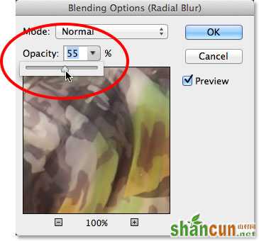 Loweing the opacity of the Radial Blur Smart Filter. Image © 2013 Photoshop Essentials.com