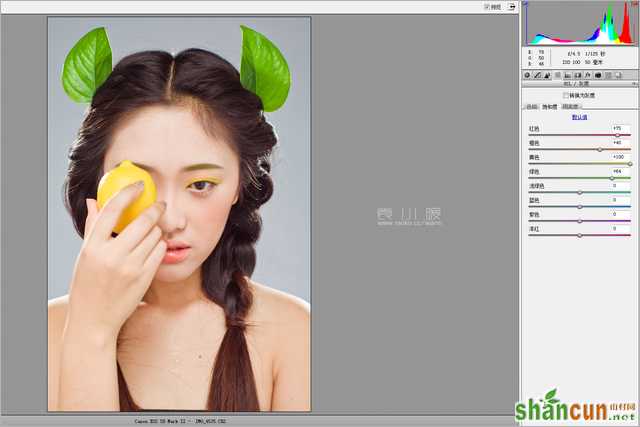201421614534541 在Photoshop中打造水果妆面的人像图片后期修图教程