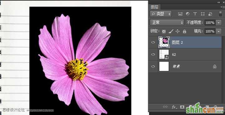 Photoshop制作蓝色圆珠笔手绘花朵照片,PS教程,思缘教程网