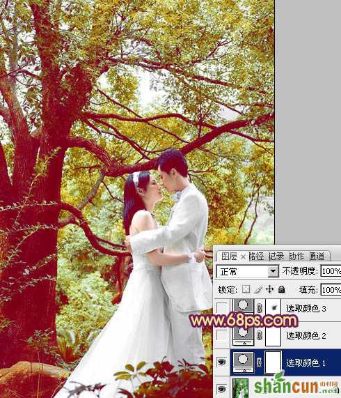 Photoshop将树林婚片增加上柔美的黄紫色效果