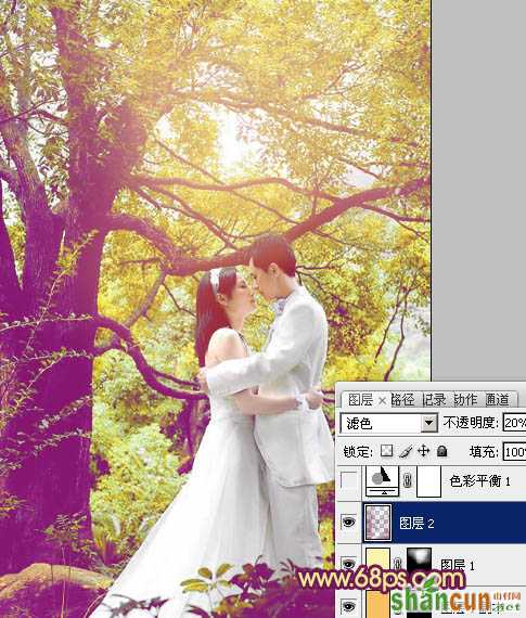 Photoshop将树林婚片增加上柔美的黄紫色效果