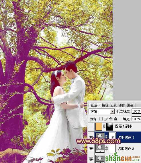 Photoshop将树林婚片增加上柔美的黄紫色效果