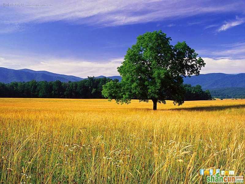 Photoshop怎么调出田园黄昏色教程   山村