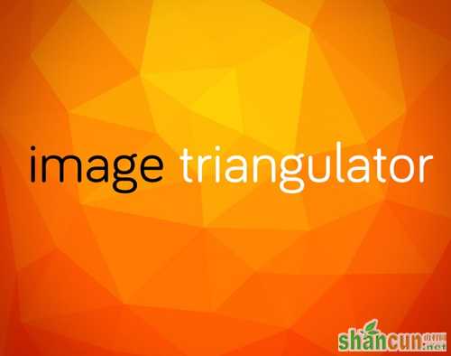 Image-Triangulator-App1