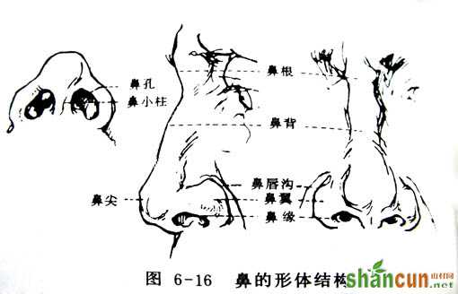 img201007271409150 Photoshop鼠绘漂亮的金发美女模特