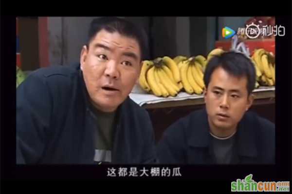 我的瓜保甜什么梗 孙红雷我的瓜保甜什么剧第几集