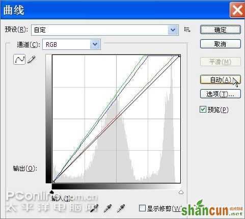 用Photoshop鼠绘一支康乃馨