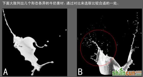 ps照片合成-诱人牛奶花朵