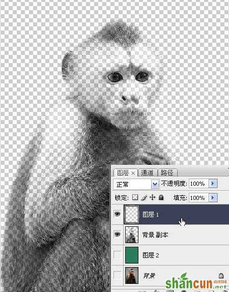PS教程:使用PS抽出滤镜抠出黑白毛发