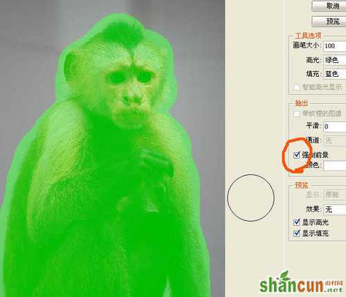 PS教程:使用PS抽出滤镜抠出黑白毛发