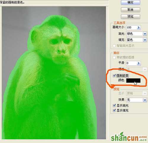 PS教程:使用PS抽出滤镜抠出黑白毛发