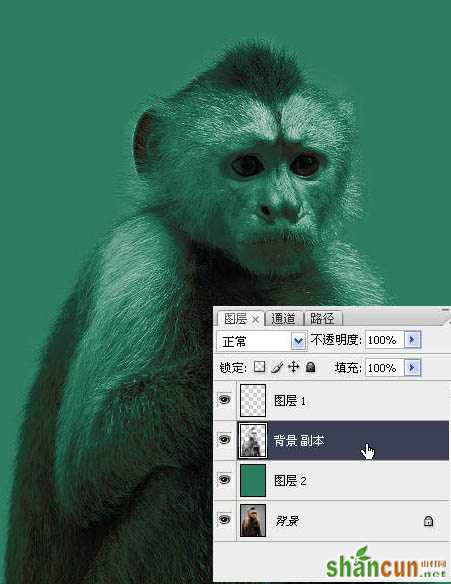 PS教程:使用PS抽出滤镜抠出黑白毛发